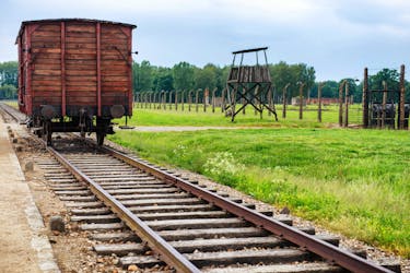 Auschwitz-Birkenau rondleiding en ophalen van Krakau